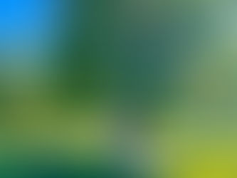 Perfect Day in Westminster, Maryland: Ali & James’ Wedding