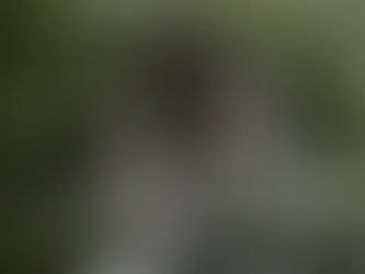 Taylor Swift & Travis Kelce Are Engaged: A Love Story Straight Out of Her Lyrics