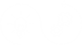 automation_icon.png