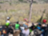 IMG_0487(2).JPEG