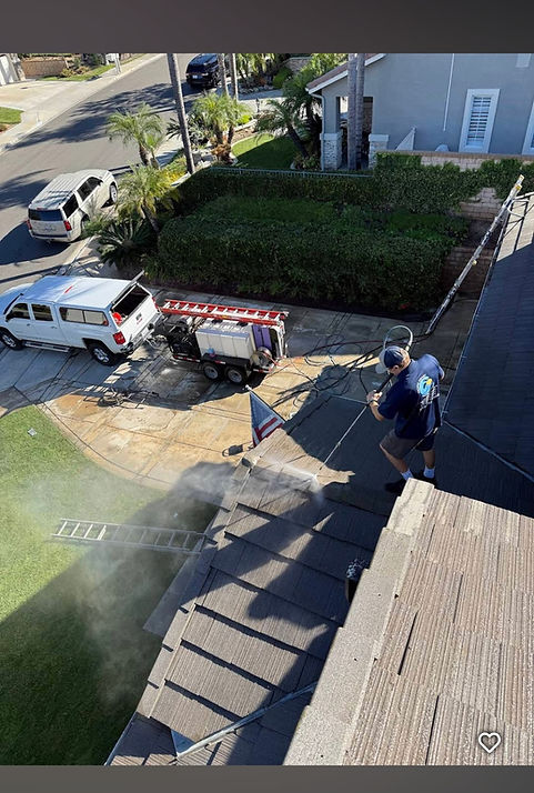Roof Cleaning Service
