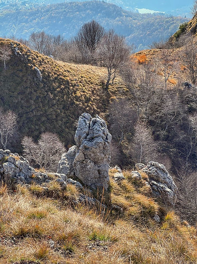 Wandel FLOW Journey aan het Comomeer