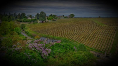 Explore Europe with private guides and tailored-made itineraries just for you.