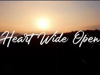 Wide Open Heart by Deborah Ann Saint
