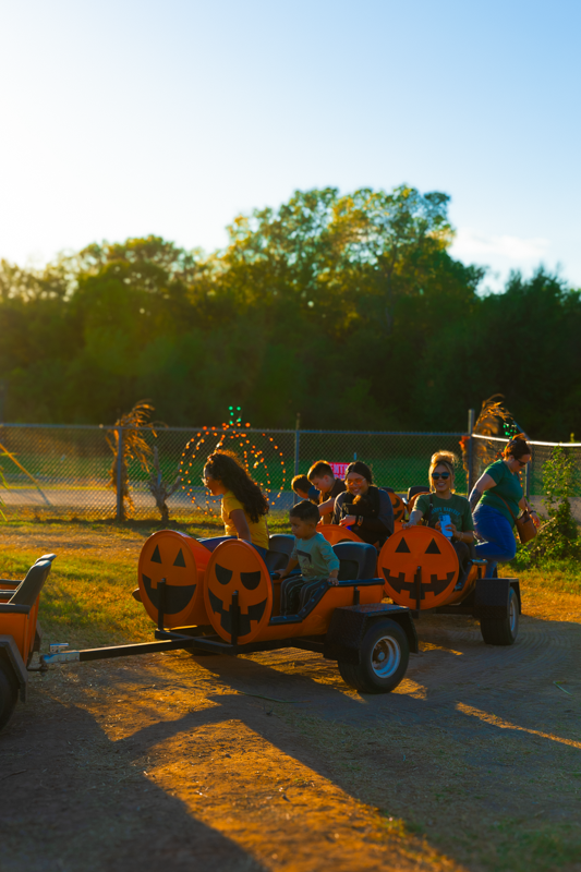 Families enjoying a pumpkin barrel train ride at a festival
