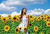 U-pick sunflower field Virginia