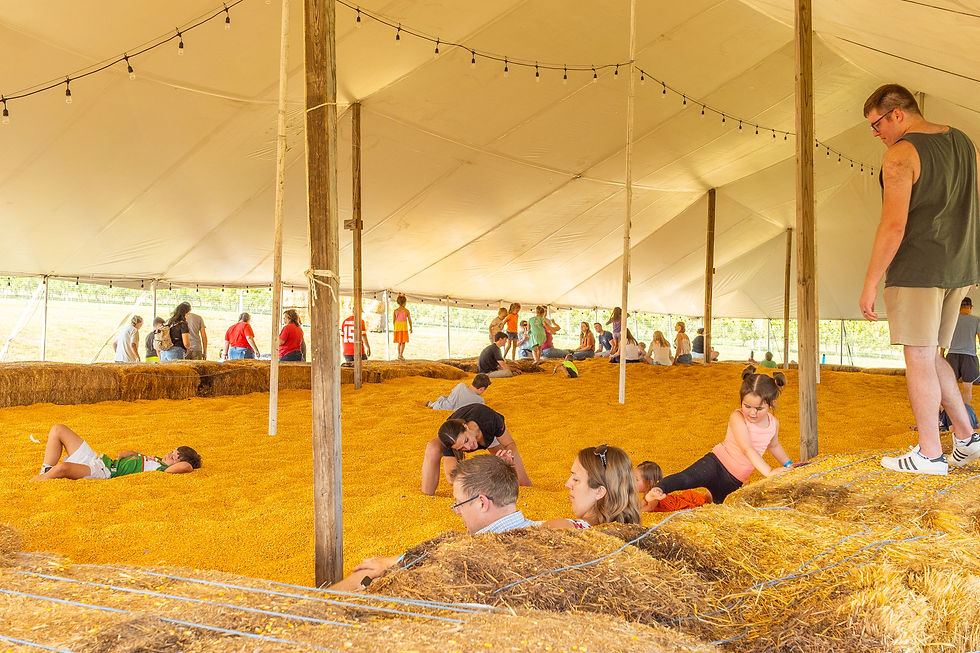 kids in the corn pit