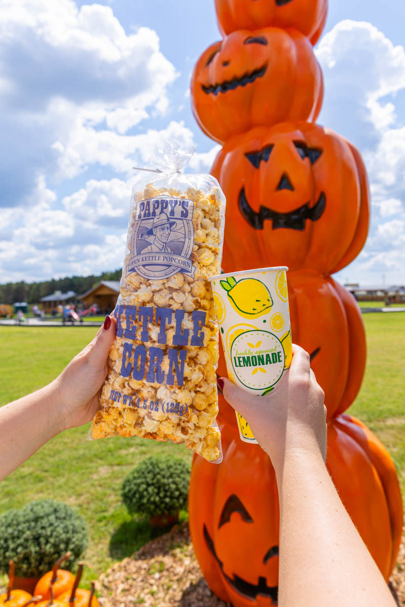 Bag of kettle corn and lemonade at a pumpkin patch