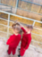 two young buys petting a goat