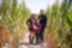 Delaware Corn Maze