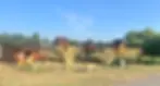 Oklahoma Pumpkin Patch