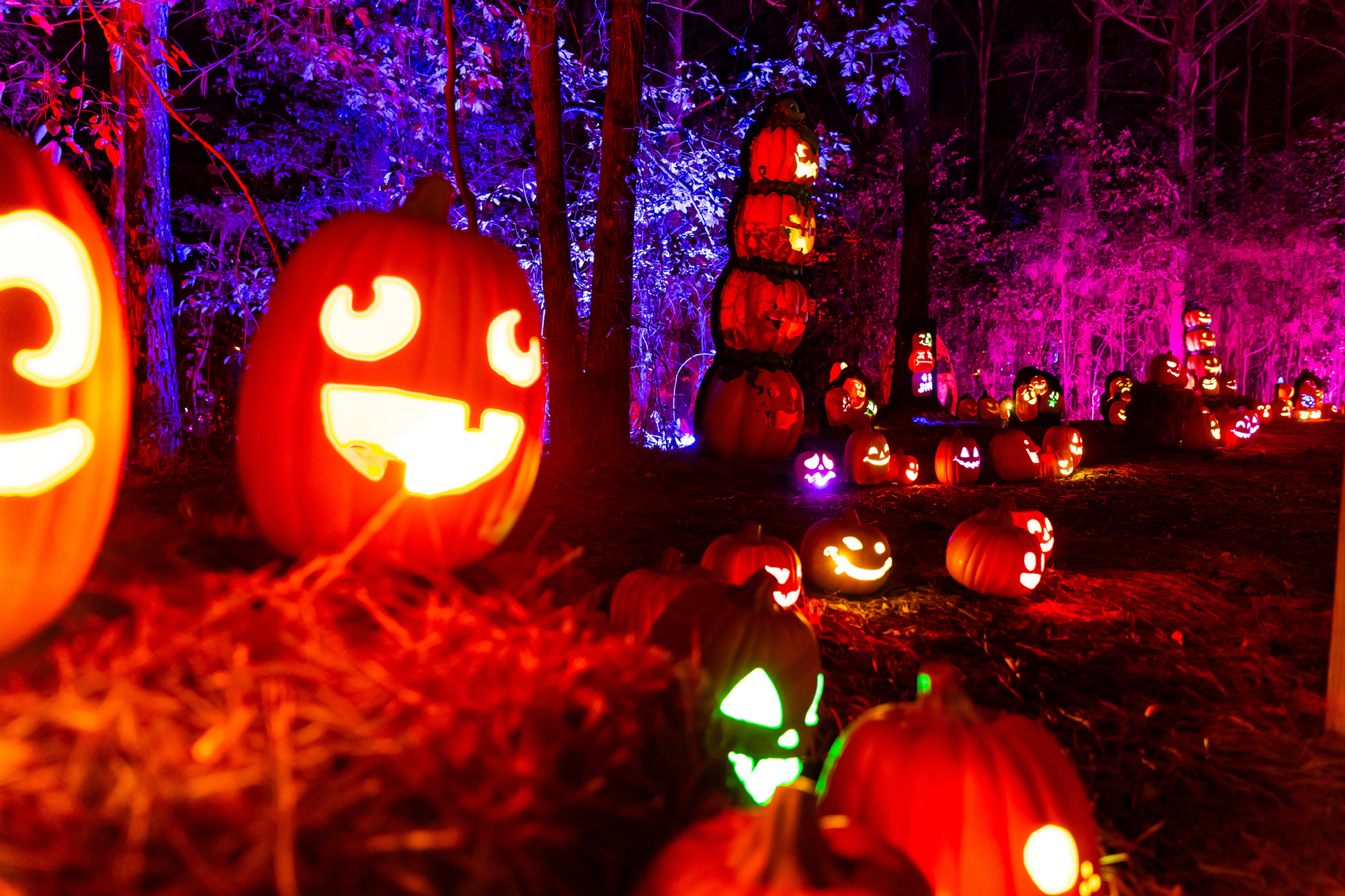 Jack's Lighted Trail | St. Louis's Glowing Pumpkin Experience