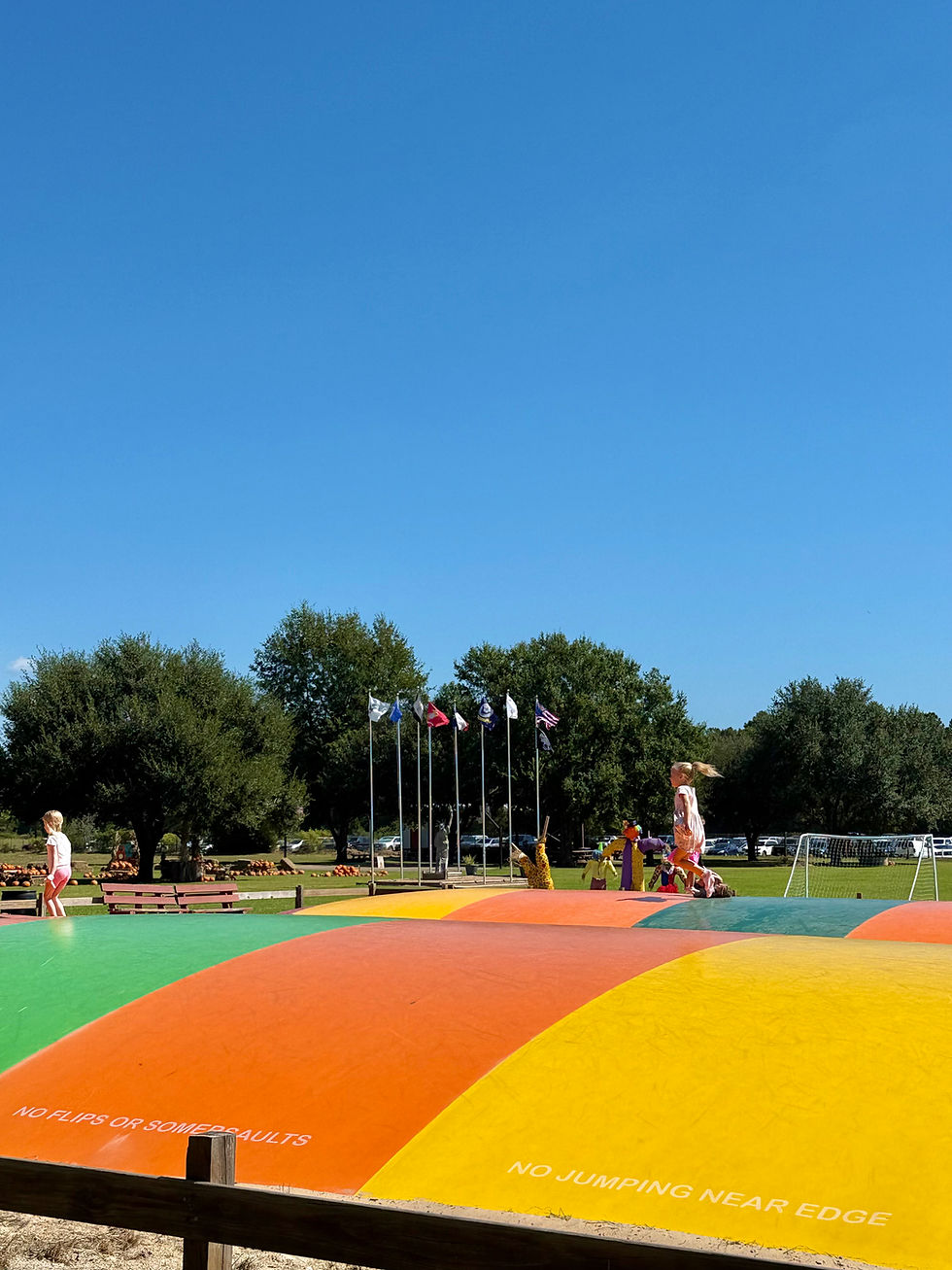 Things to do in Houston
