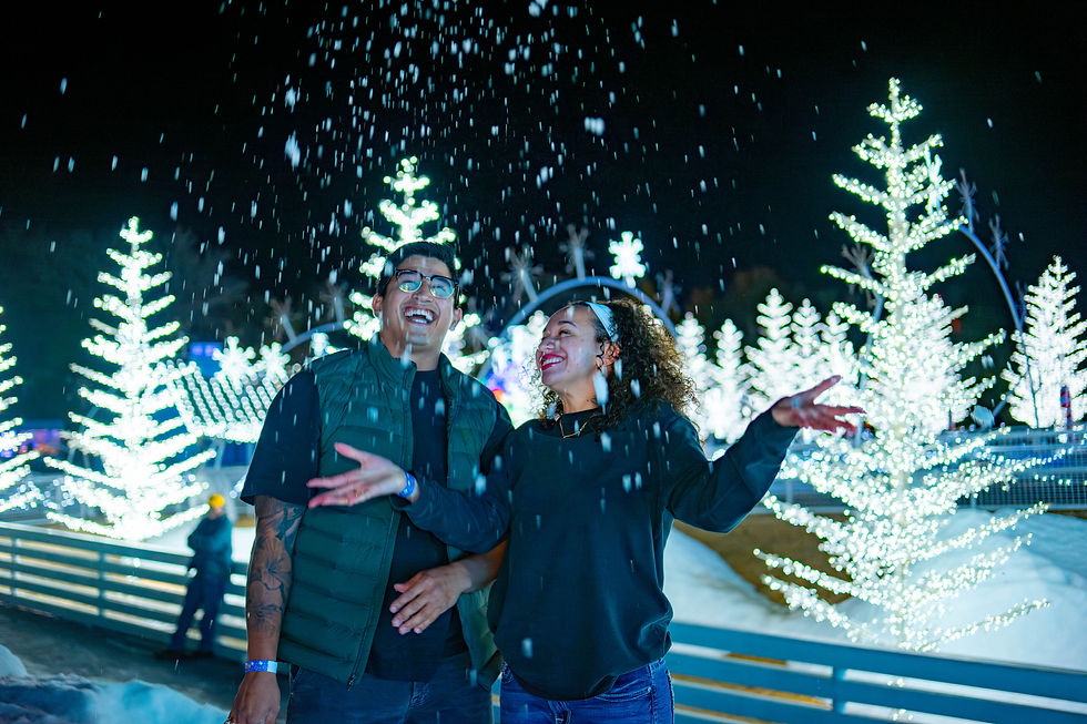 Christmas College Station