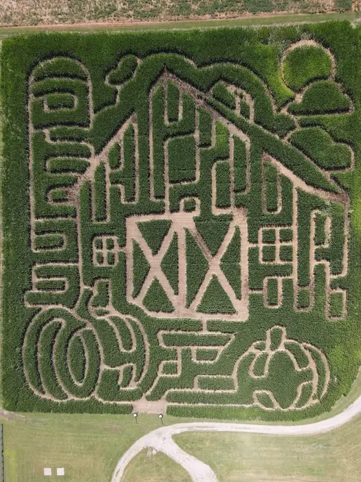 Barn and pumpkins maze design