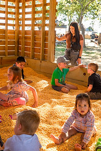 Children playing in a corn pit during a group outing.