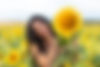 Sunflower Field in South Carolina