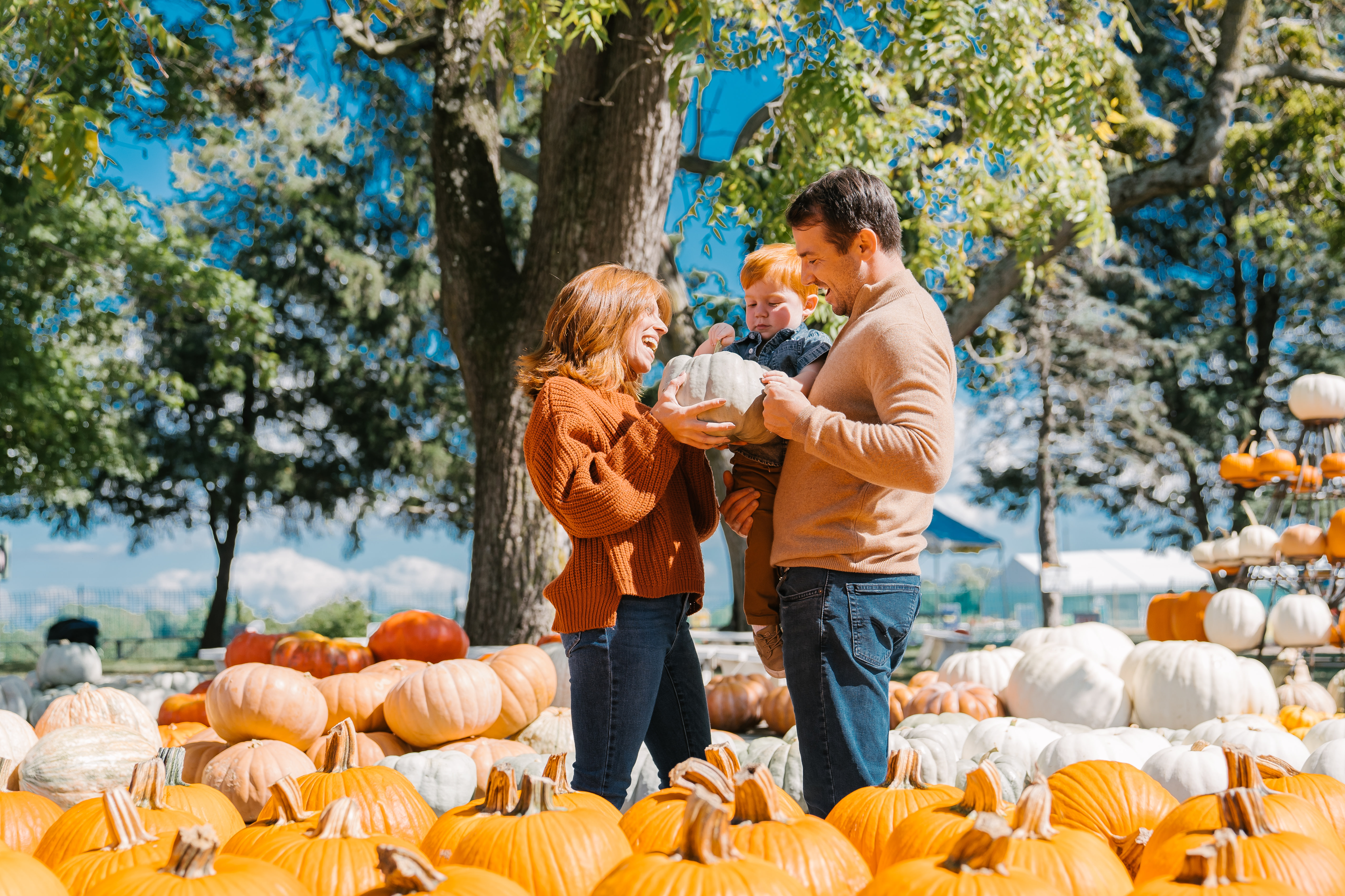Fall Fest at Fifer Orchards