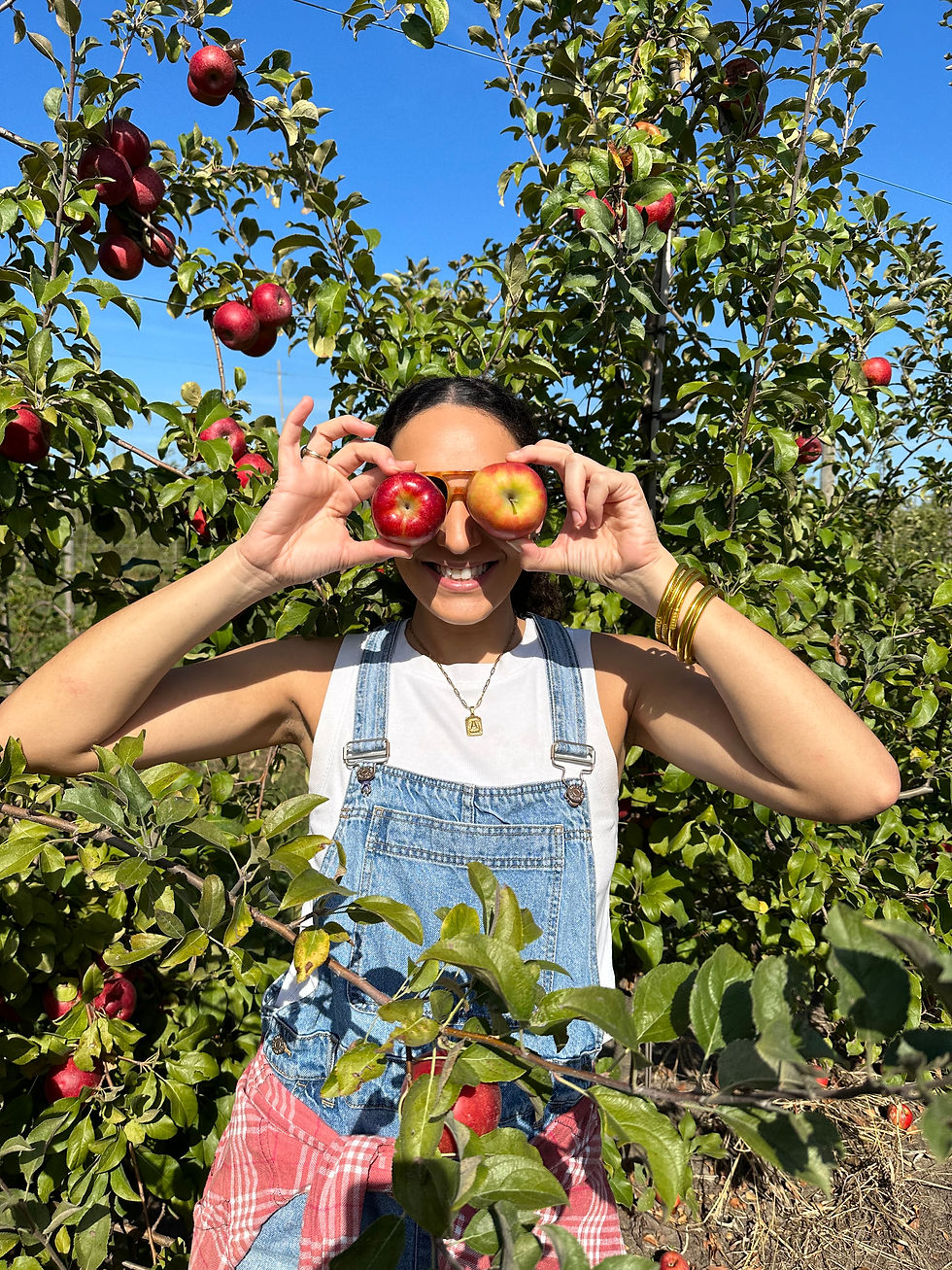 apple picking Fun Farm