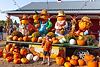 fall-festival-okc.png