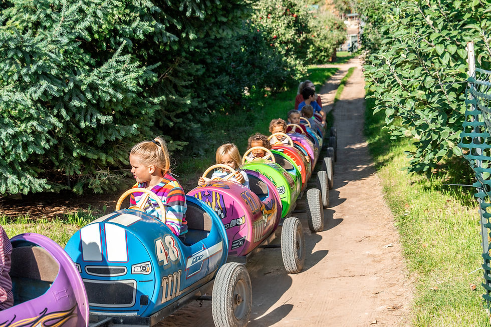 Barrel Train