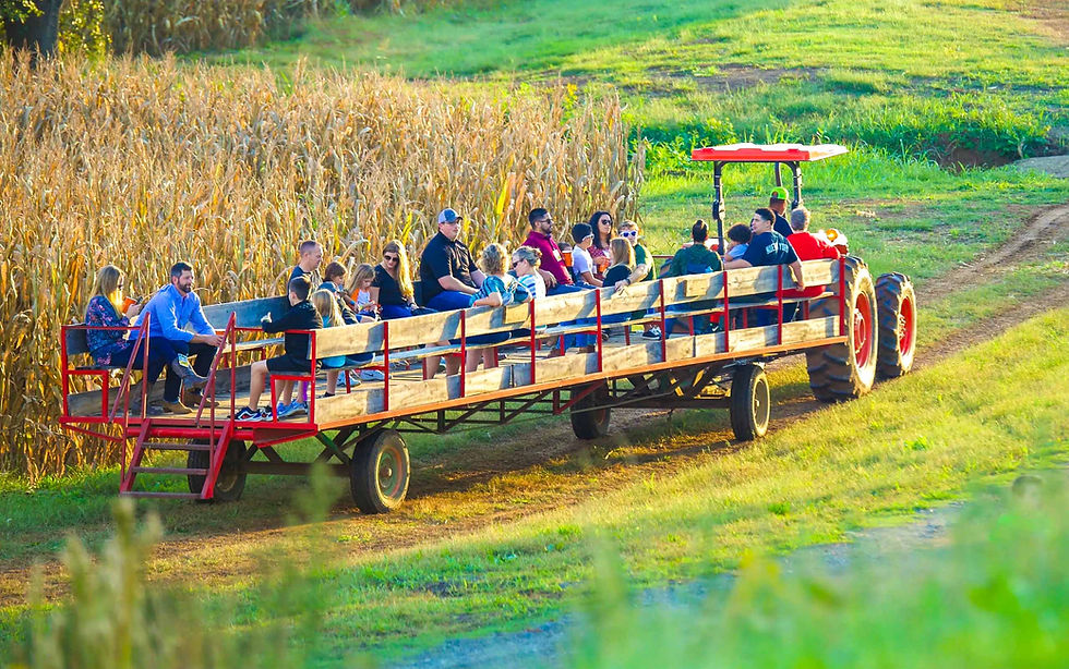 People enjoying a tractor hayride at a fall festival.