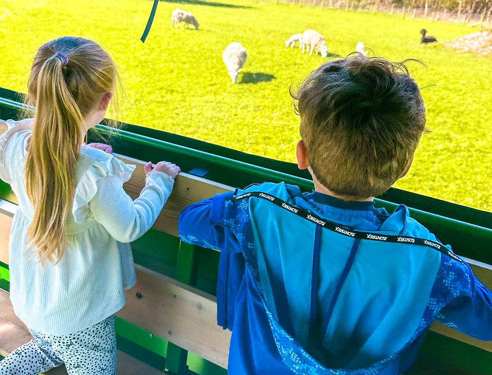 hayride-manchester