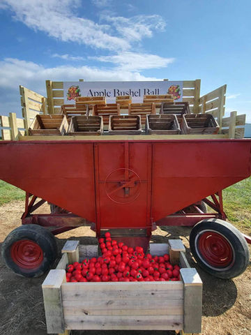 Red wagon, 'Apple Harvest Hall' sign, crate of apples