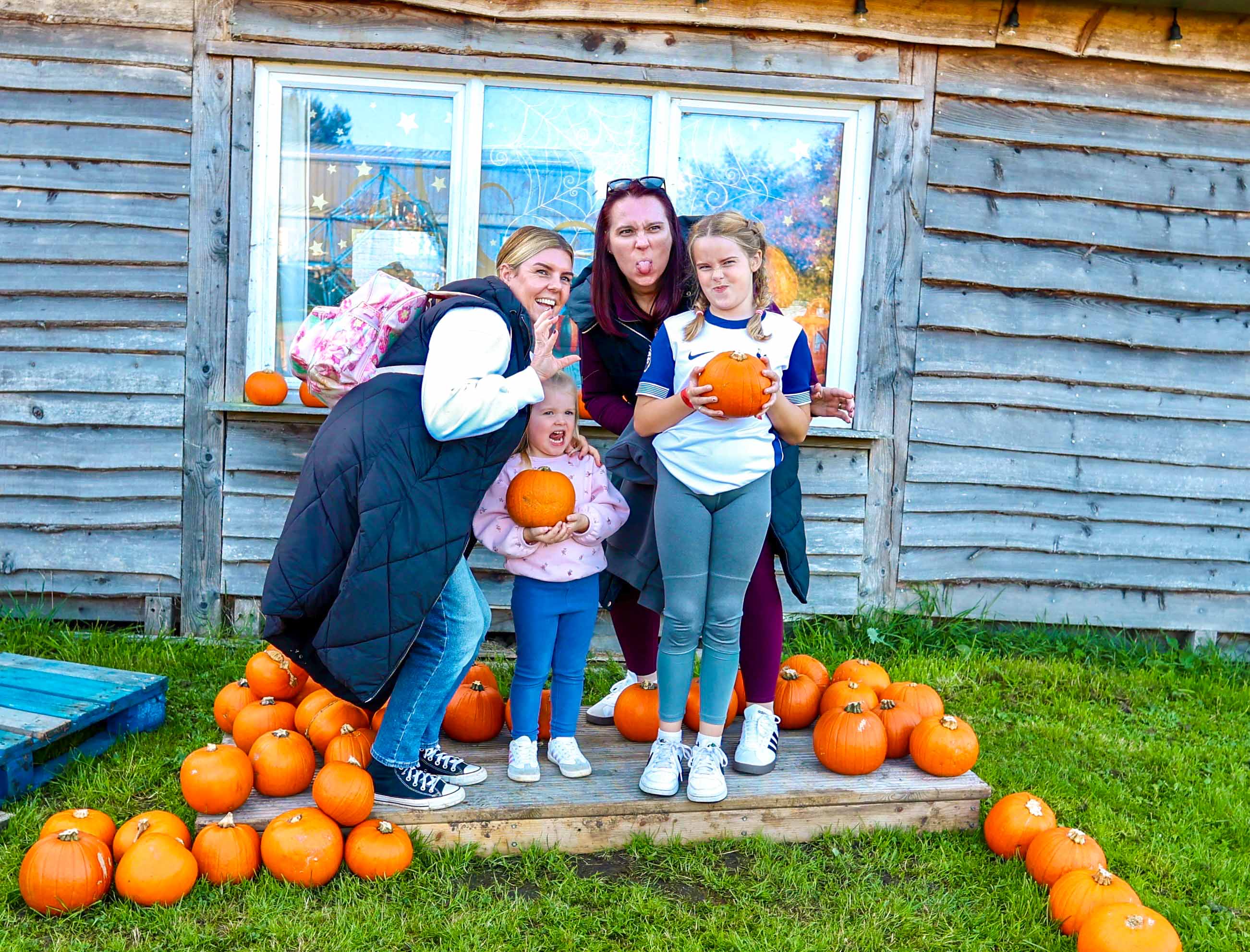 Pumpkin picking at Wynford Farm Park