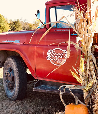 Fall photo Ops