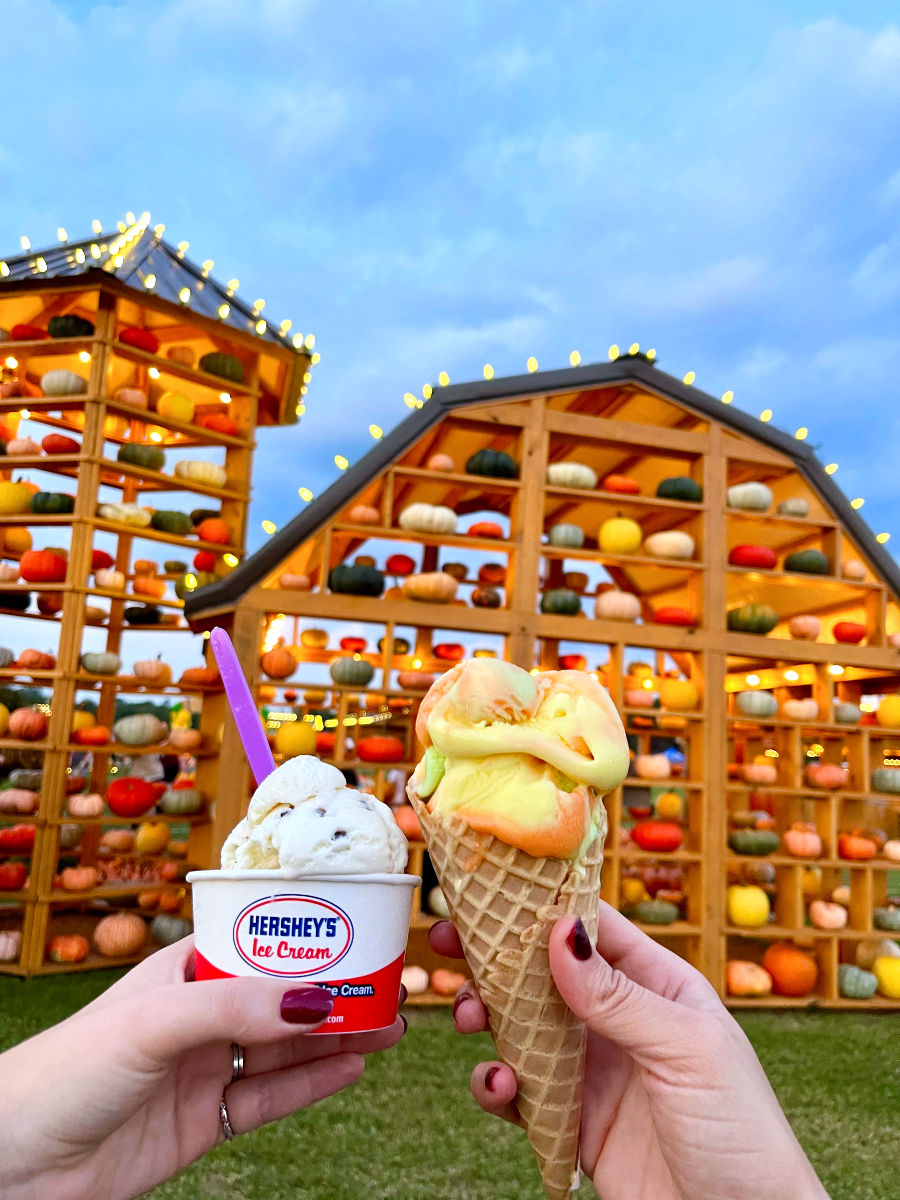 Hershey's Ice Cream cup and waffle cone at a pumpkin barn