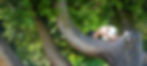 Yoga Grenoble Maria Munoz