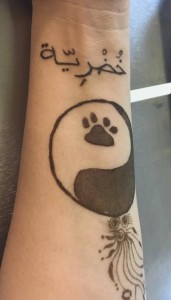 13570037_482149258641845_201877579_o