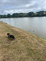 IMG_5477.jpeg
