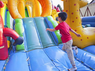 Hillsborough County Things to Do
