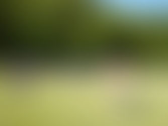 Kids and teens playing an outdoor field game with foam bats during summer youth activities.