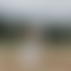 Skamania Lodge - Olivia and Kyler