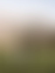 North Fork Farms - Snoqualmie, WA