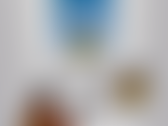 THE MIND ZONE: Unlocking Our Full Potential