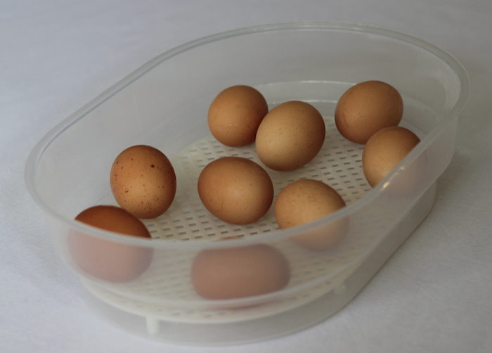 Janoel Model 12 Egg Incubator