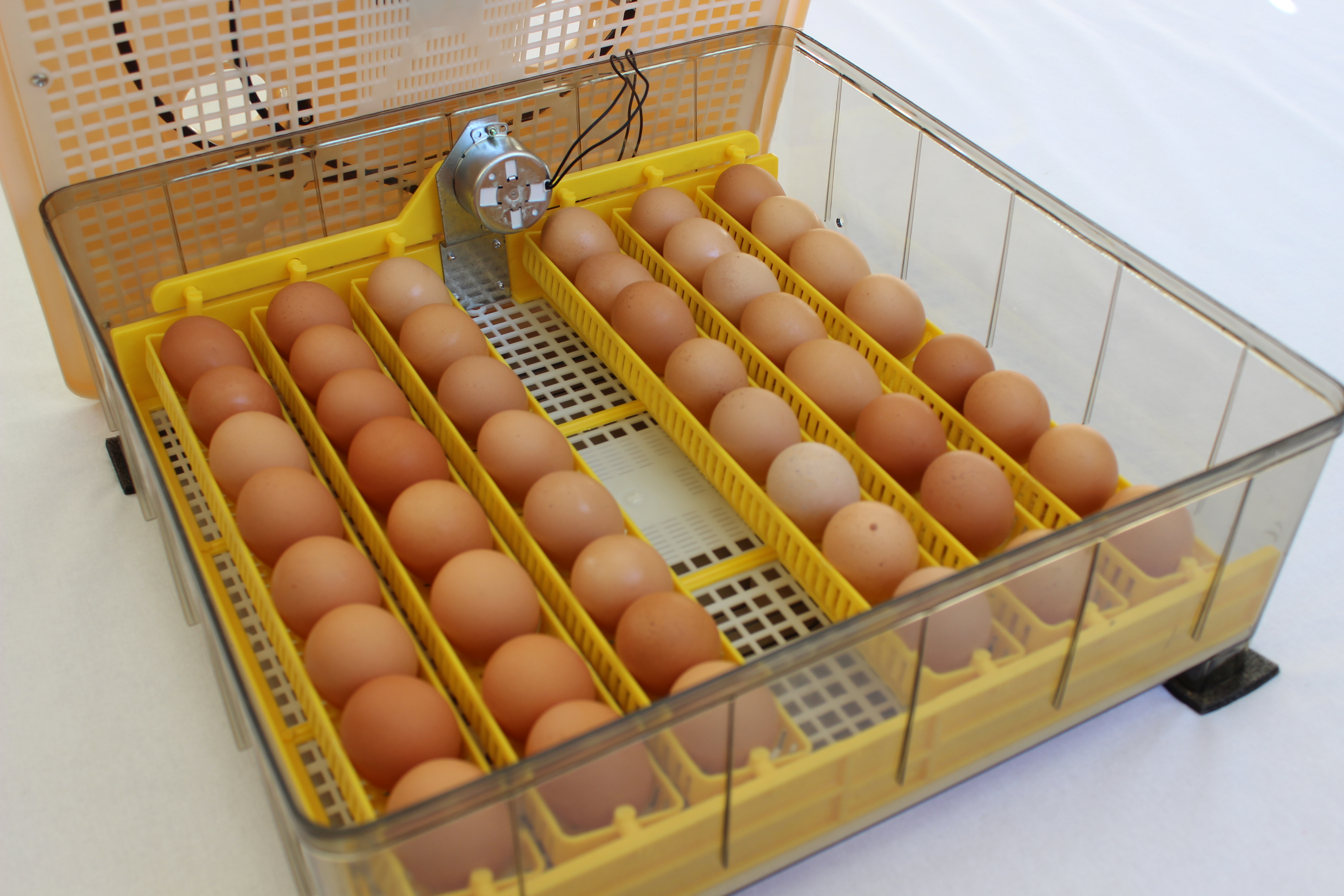Janoel 48 Egg Fully Automatic Egg Incubator For Sale
