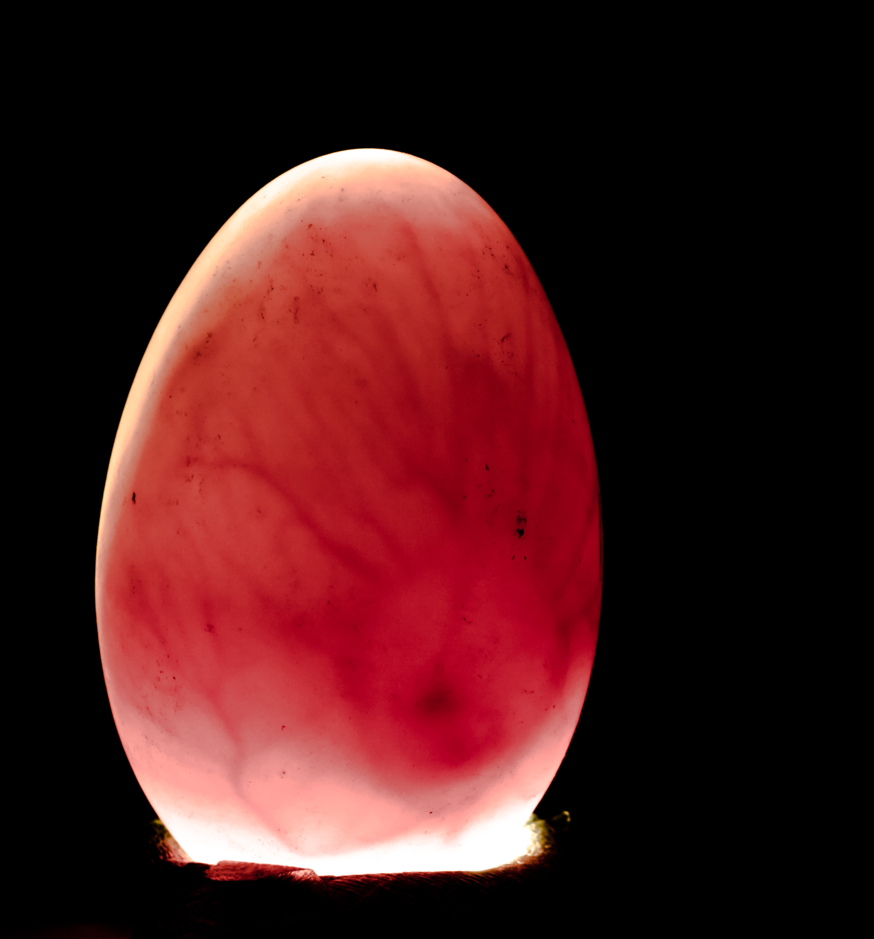 Candling Fertile Eggs