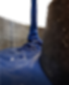 COLATA (1)_edited.png