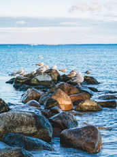Strände im Norden von Deutschland