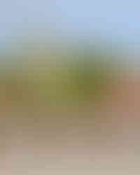 Burg von Ljubljana über der Altstadt, Ljubljana Reiseführer mit Sehenswürdigkeiten für Citytrip und Kurztrip in Slowenien