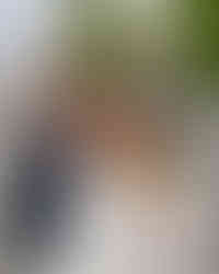 Drei Brücken in Ljubljana über die Ljubljanica, Ljubljana Reiseführer Sehenswürdigkeiten Altstadt Highlight für Fußweg und Citytrip Slowenien