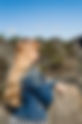 Bastei Sächsische Schweiz