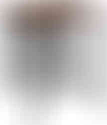 Rustikale Inneneinrichtung Industrial Style Interior Design Annika Shurafa