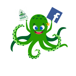 MascotteHAVAI-3expressions-HAPPY.png