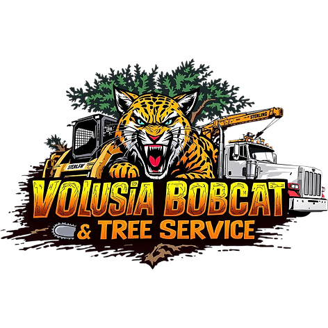 tree service near me